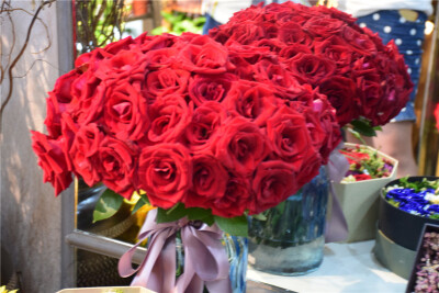 精选最顶级卡罗拉红玫瑰，配蓝调调琉璃花瓶，每一朵都盛开自如，才引来无数人的青睐，你若盛开，蝴蝶自来！