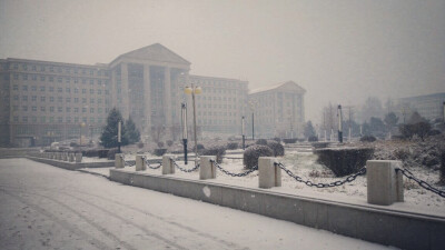 第一场鹅毛大雪～