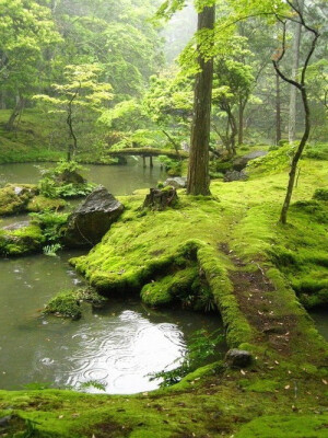 青苔覆盖的桥，京都，日本。