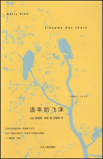 《流年的飞沫》是一本令人难以老去的书。鲍里斯·维昂为我们展示的是一个童话的世界与一颗青春心。小说的情节简单得近乎透明，以其荒诞而凄美的结局，被称为“当代最令人心碎的爱情故事”。