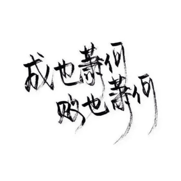 最怕凌晨以后的时间点 想神经质的爬起来拉起挚友撸个串喝个酒唱着歌 走在没有夜灯的大马路上 哭着笑着闹着 也无人管问 你像条野狗 也想找个温暖的栖息之地 忠于一人 