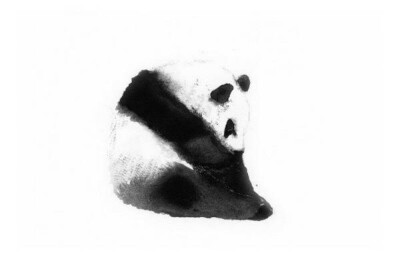 萌萌哒水彩熊猫