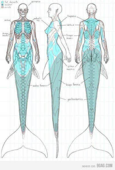 Mermaid