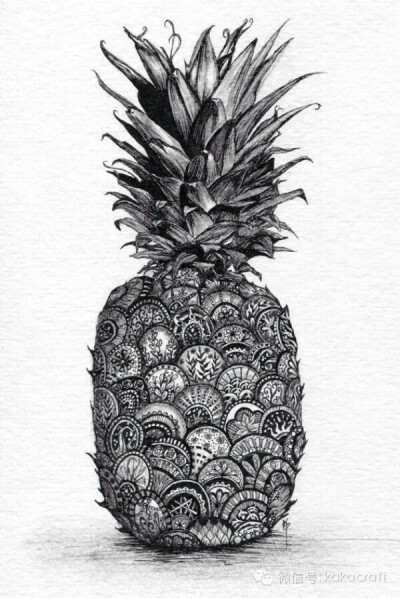 菠萝～线描装饰画