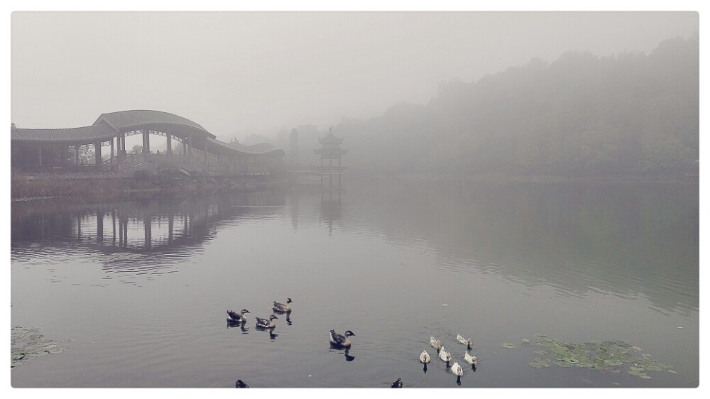 岳麓风景