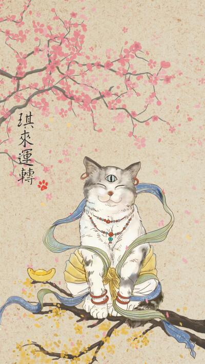 琪琪家的猫 猫咪 星座师琦琦