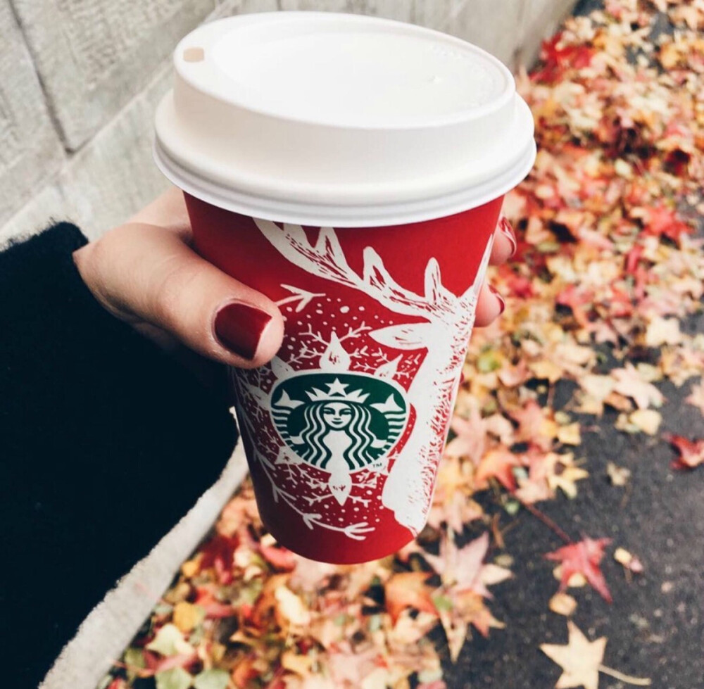 星巴克圣诞红杯季 圣诞节限定系列十款插画杯「Starbucks Red Holiday Cups」