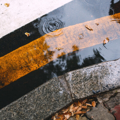错过的都是风景