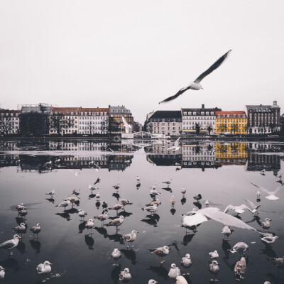 错过的都是风景