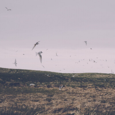 错过的都是风景