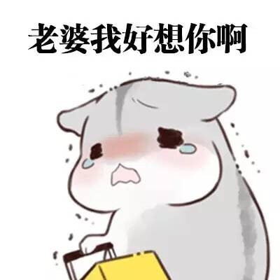 「表情包」
【表情包】【暴走漫画】【可爱贱萌污】【二次元】【搞笑趣味】【聊天表情】【动图】【卡通动漫】【GIF】【魔性】【纯文字】【金馆长】【壁纸】【北方栖姬】【原创】