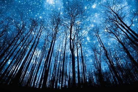 ♡
【星空 星系 星海 森林 蓝色系 梦幻 意境 清新 唯美 】