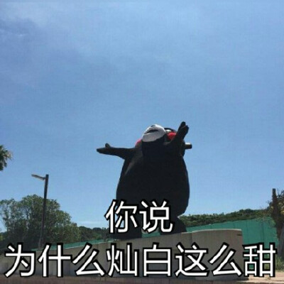 #熊本熊表情包##无水印表情包# 拿图点赞喜欢关注 魔性 搞笑 趣味表情 斗图 恶搞 贱萌 暴走 动漫表情 表情包 聊天表情 逗比 搞笑 熊本熊 边伯贤 EXO 灿白