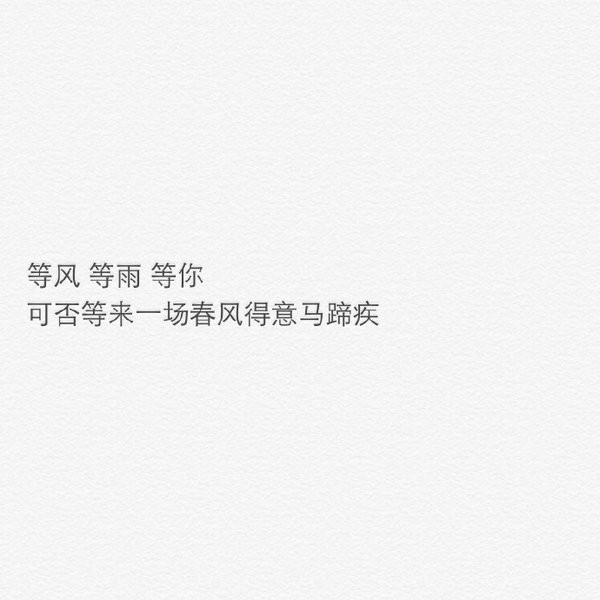 文字壁纸短句清新毒句暖心歌词伤感孤独shinean