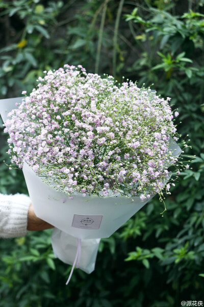 满天星，自然色。
有个好听的英文名：baby's breath