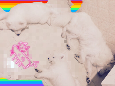 正宗的一家三口 亲生的 现在已经聚不齐了 