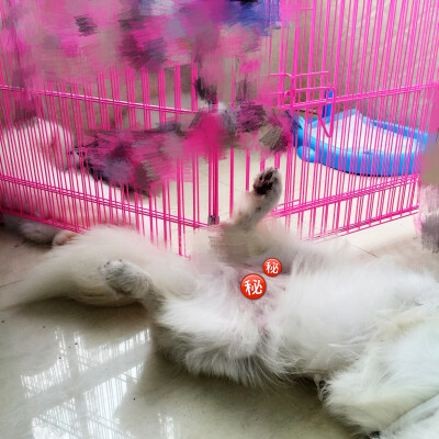 骨头这时候很瘦很瘦很瘦 