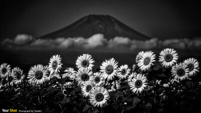 富士山