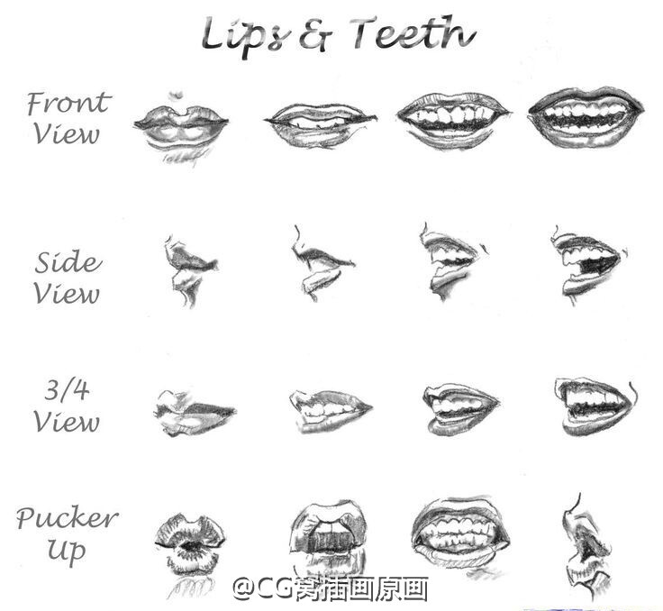 写实型嘴巴参考~
