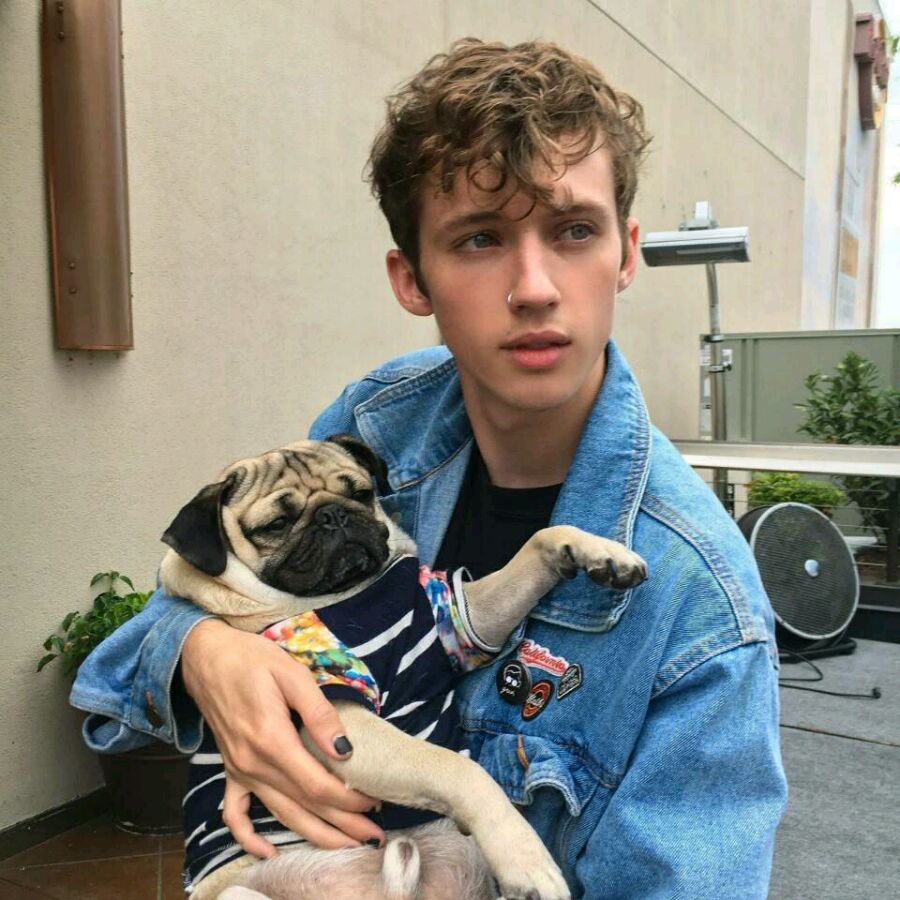 戳爷 troye