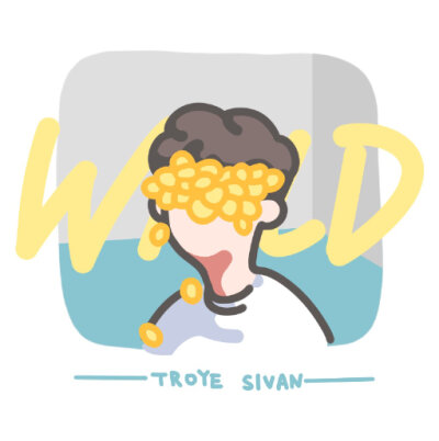 TROYE SIVAN 戳爷