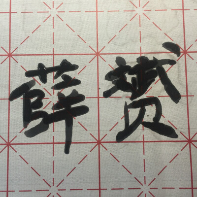 我写得字