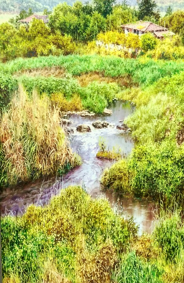 韩国画家画展 风景画 柳暗花明又一村 溪流 小溪