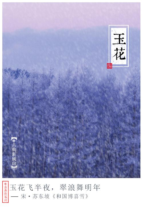 雪的别称•玉花