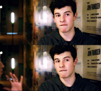 shawn mendes