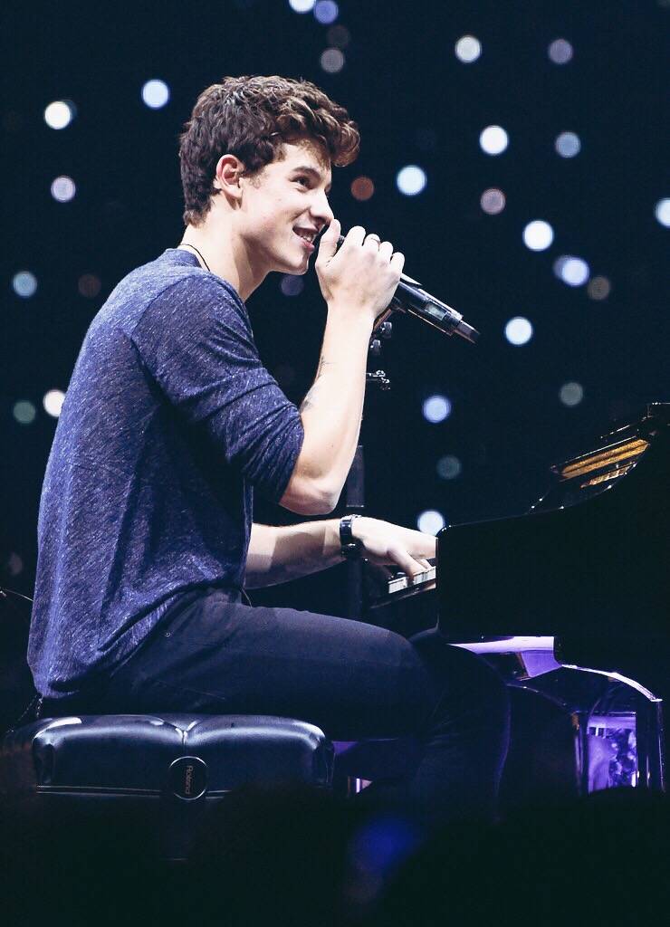 shawn mendes