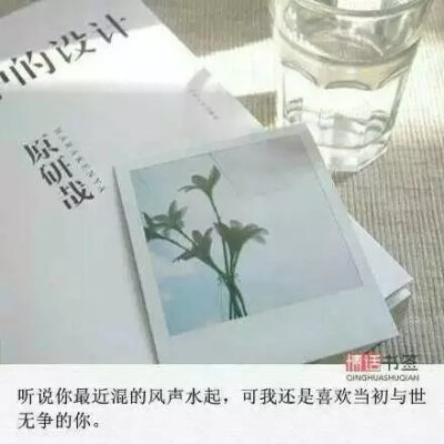 听说你最近混的风声水起，可我还是喜欢当初与世无争的你。