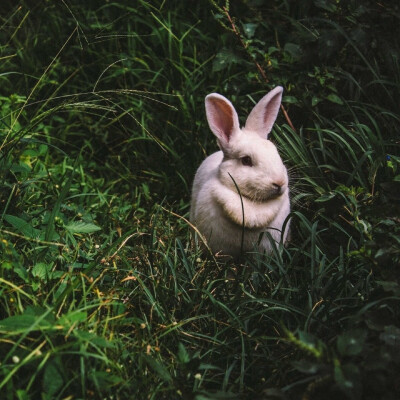 错过的都是风景