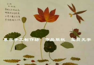 树叶贴画（收集）