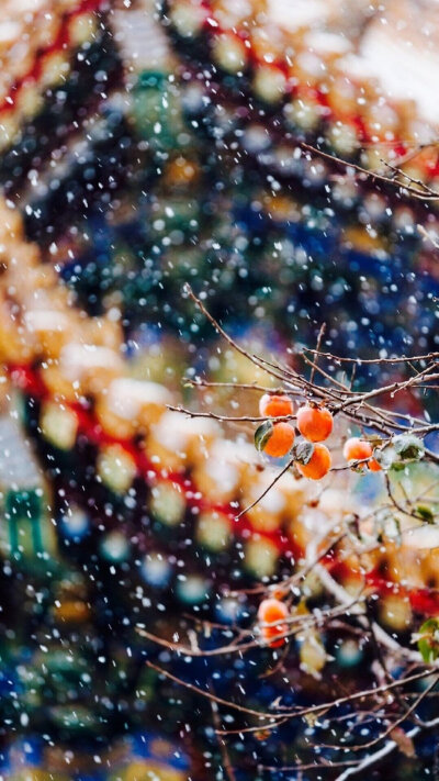 故宫冬天雪景手机高清壁纸下载