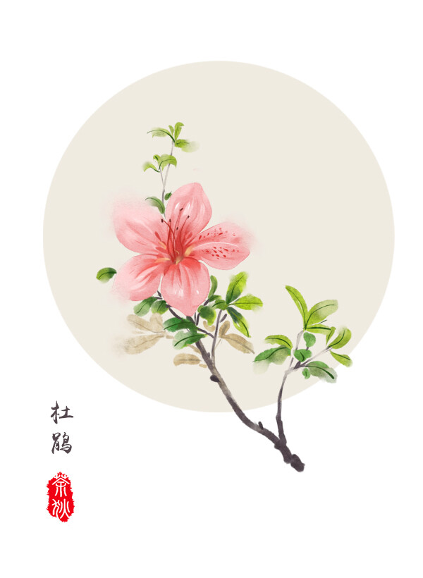 小时候吃过杜鹃花，酸酸甜甜的味道。（茶狄/绘）