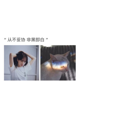 备忘录 便签 伤感句子 温暖文字 治愈系文字 虐心文字 伤感情话随便 书摘 文字美文句子欣赏