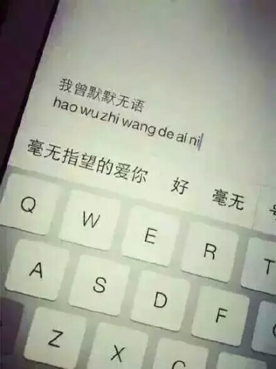  我曾默默无语,毫无指望的爱你.