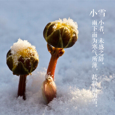 小雪，雨下而为寒气所薄，故凝而为雪。小者，未盛之辞。