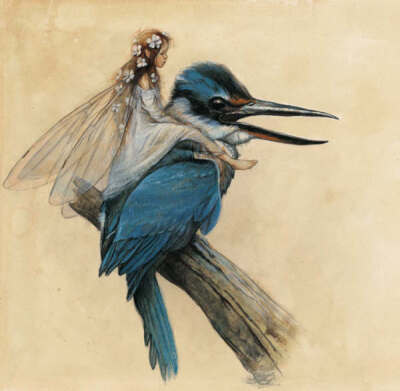 Jean Baptiste Monge 插画 精灵