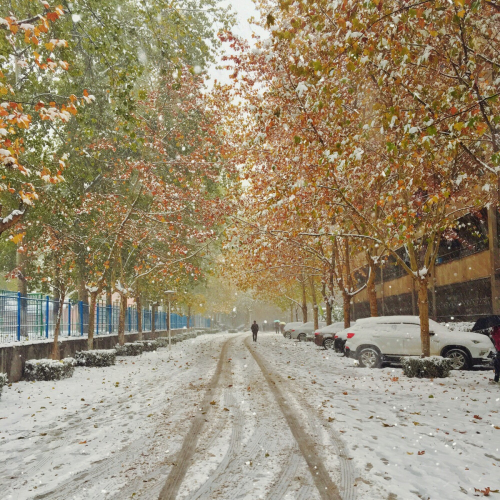 来西安后的第一场雪 这个冬天有点儿冷 希望可以遇到一个温暖的人儿(〃'▽'〃)