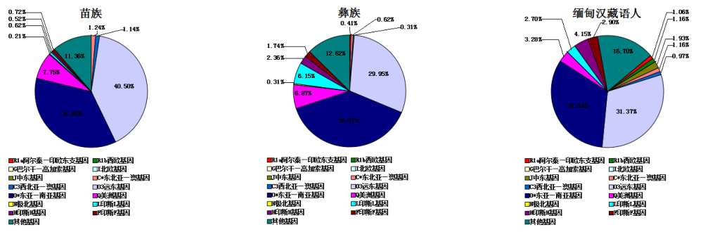 人种