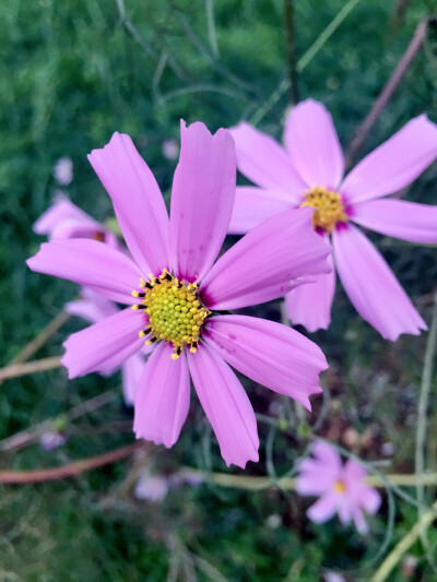 花絮