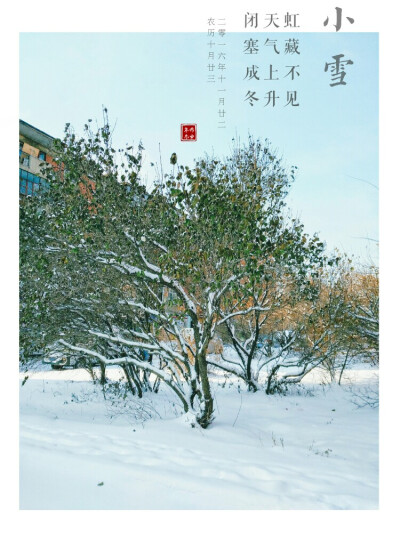 雪中树