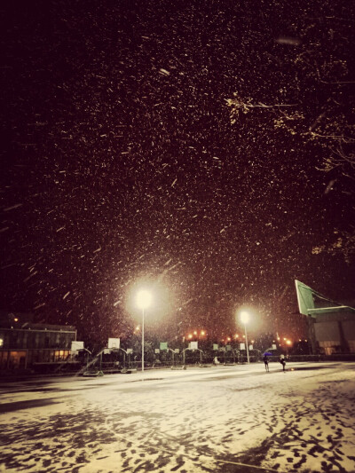 等你，因为相信你会在下一场风雪中。