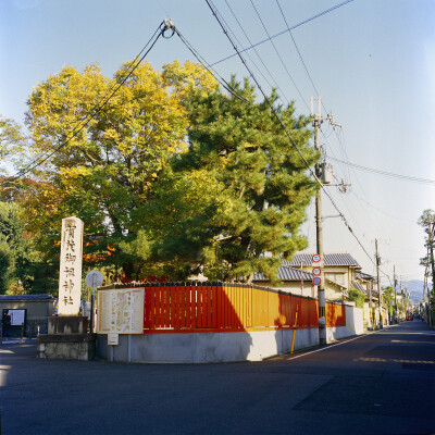 下鸭神社