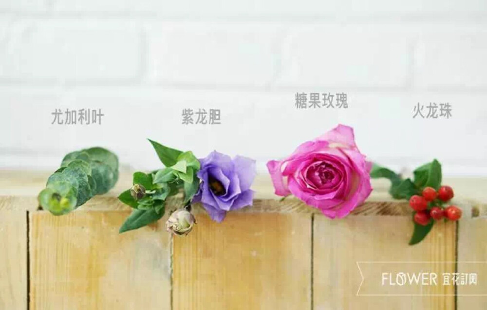 宜花花艺 祉园花魁 花材