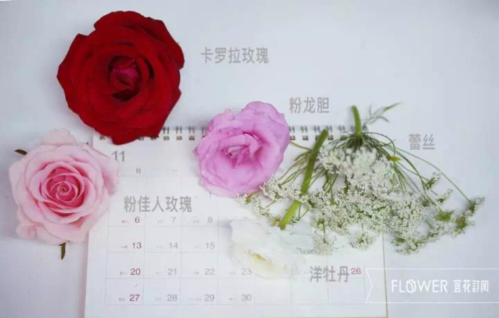 宜花花艺 午夜巴黎 花材