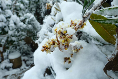 下雪了