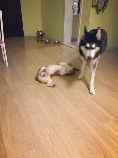 弟弟辣眼睛