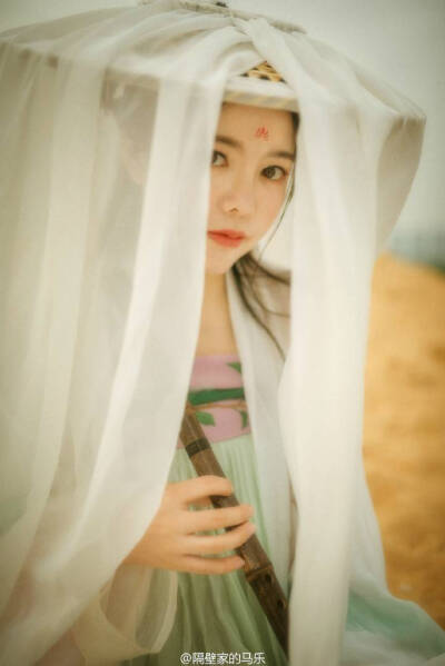 送君走马去,遥似踏花行.
